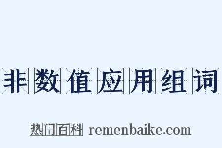 非数值应用组词是什么意思的图片